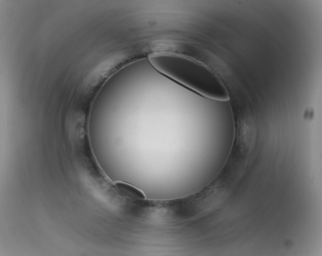 X0000113620356200909251211