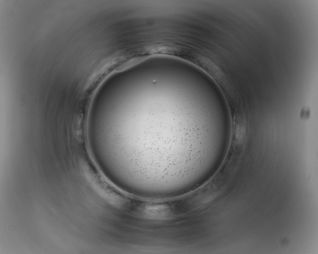 X0000113620357200909251211