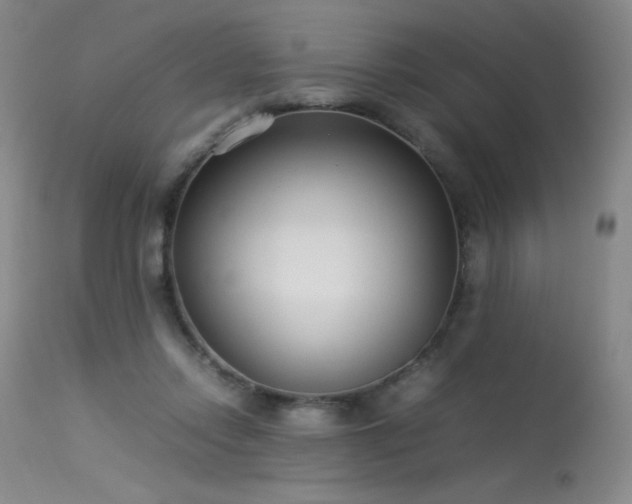 X0000113620358200909251211