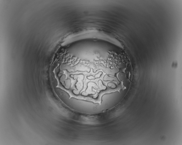 X0000113620359200909251211