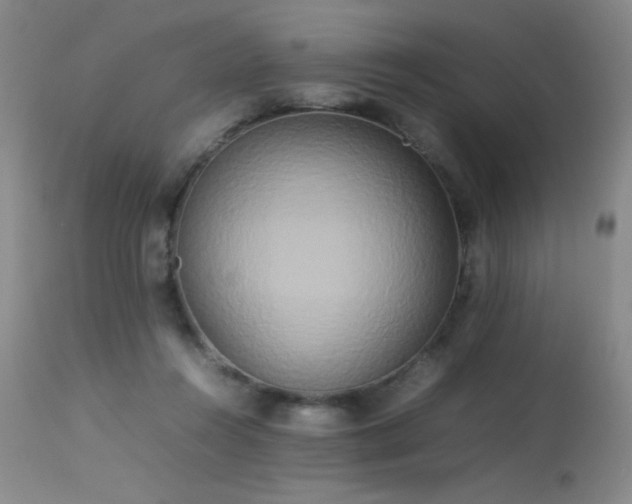 X0000113620360200909251211