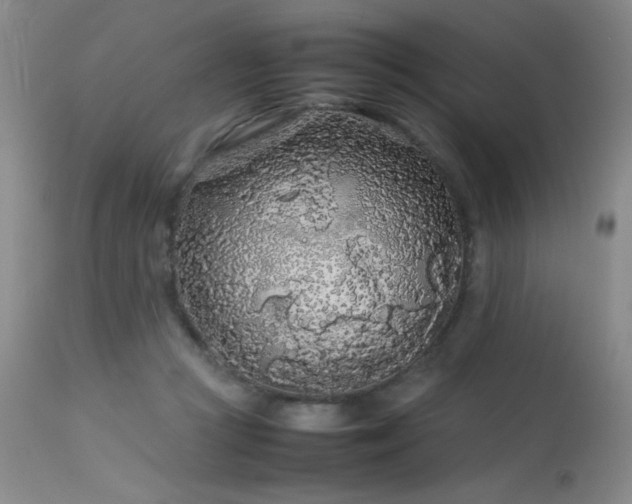 X0000113620361200909251211