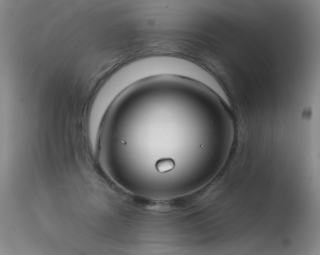 X0000113620362200909251211