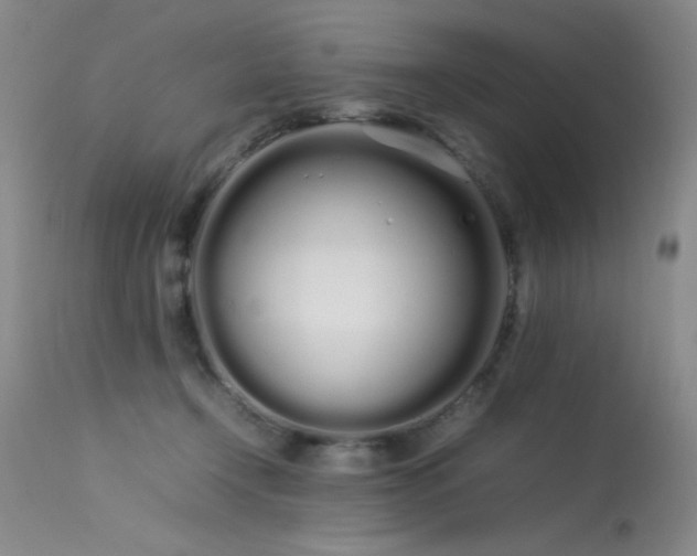 X0000113620366200909251211