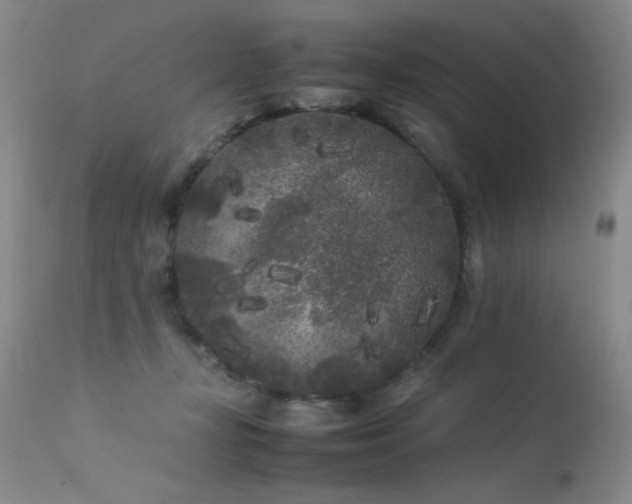 X0000113620367200909251211