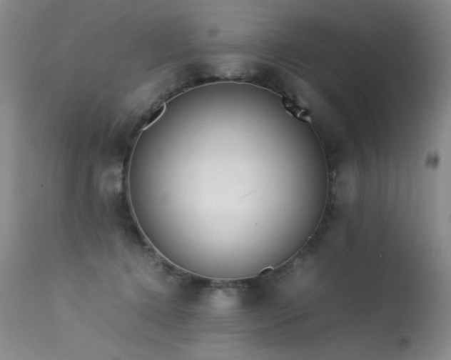 X0000113620368200909251211