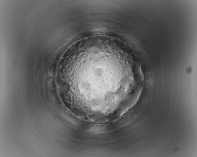 X0000113620369200909251211