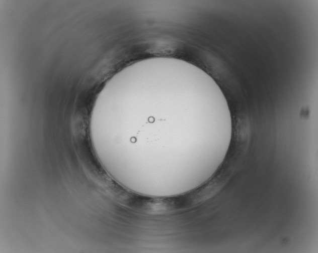 X0000113620370200909251212