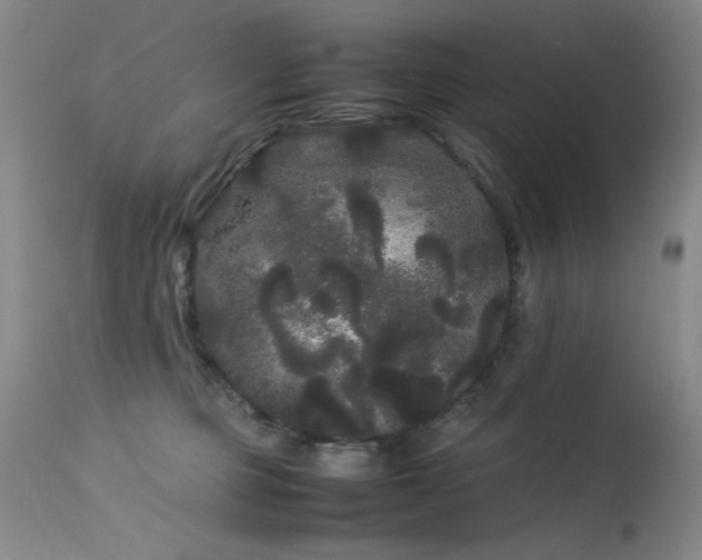 X0000113620373200909251212