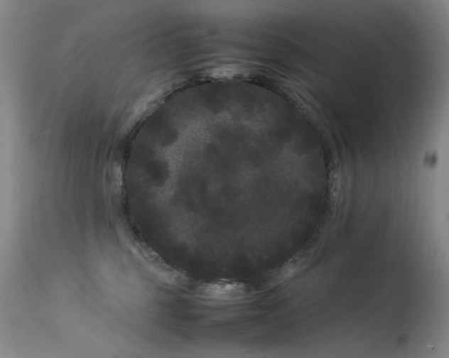 X0000113620375200909251212