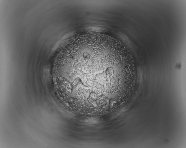 X0000113620377200909251212