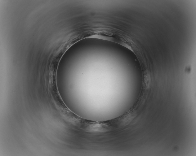 X0000113620379200909251212