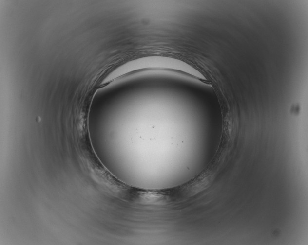 X0000113620380200909251212