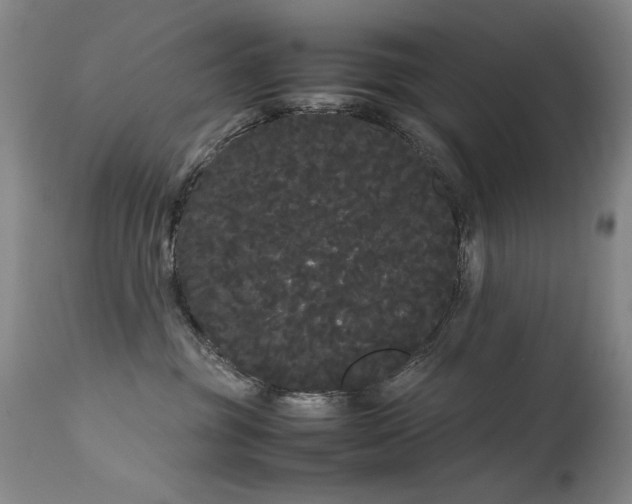 X0000113620381200909251212