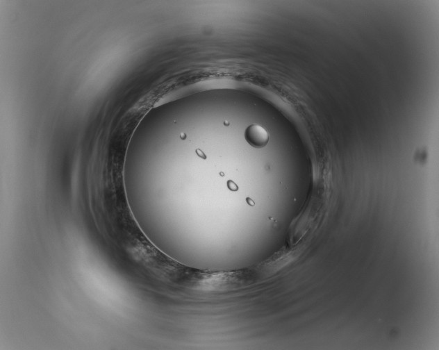 X0000113620382200909251212