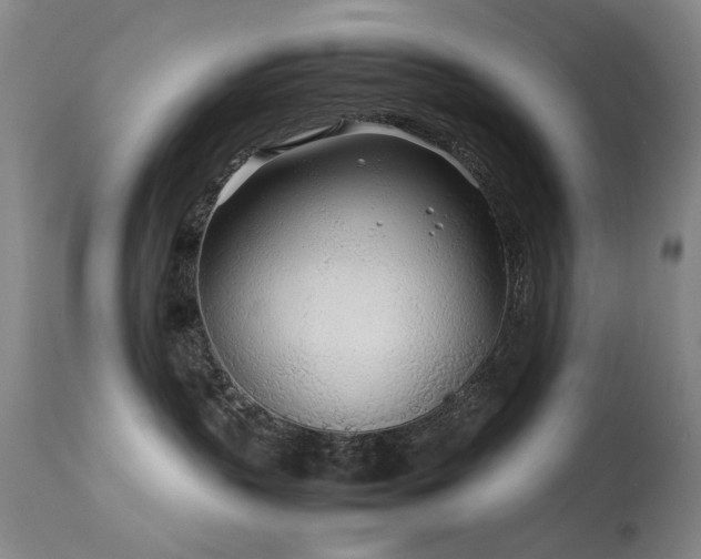 X0000113620383200909251212