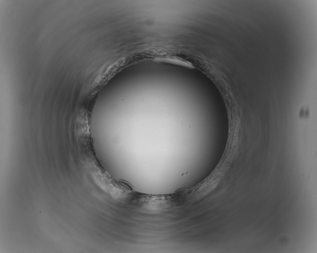 X0000113620384200909251212