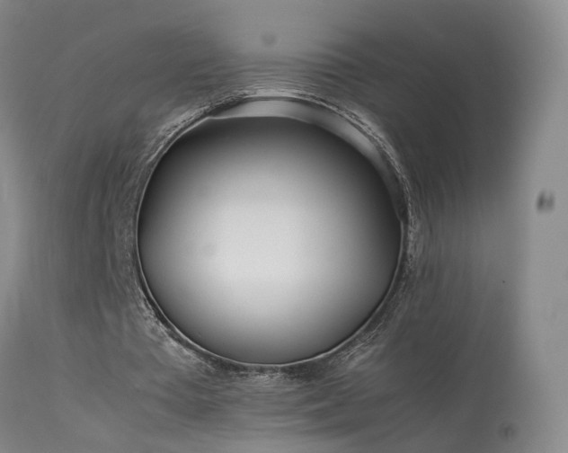 X0000113620385200909251211