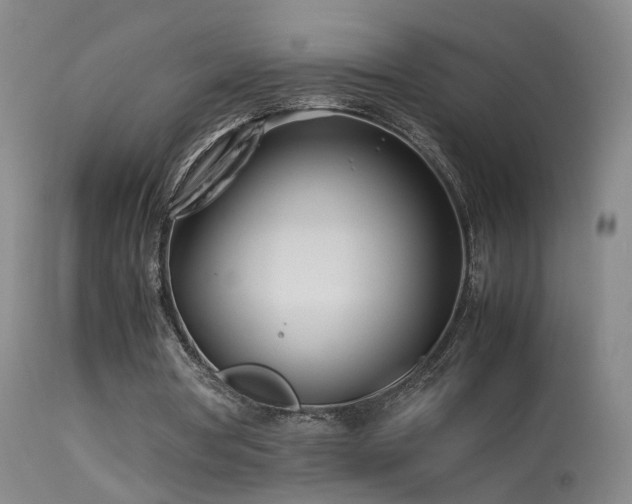 X0000113620386200909251211