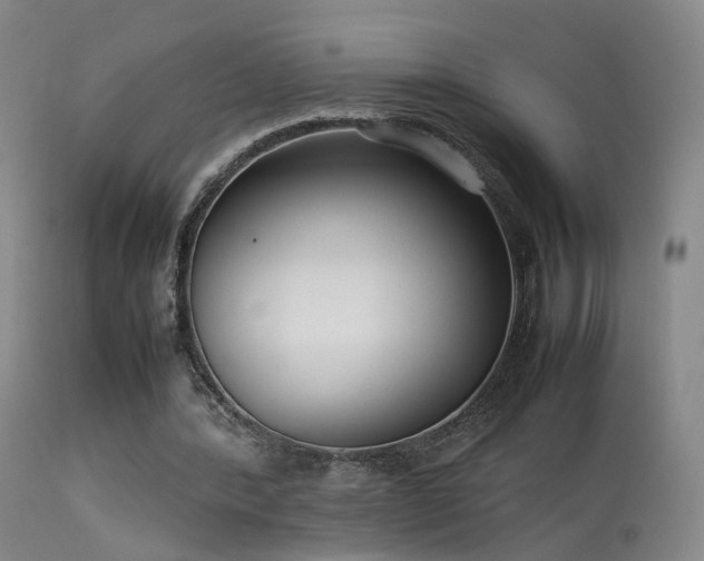 X0000113620388200909251211