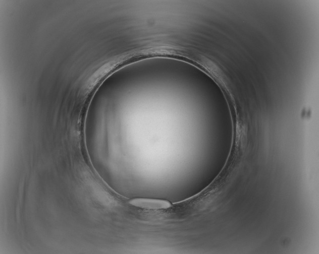 X0000113620389200909251211