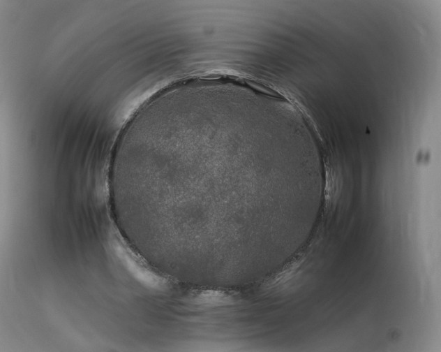 X0000113620390200909251211