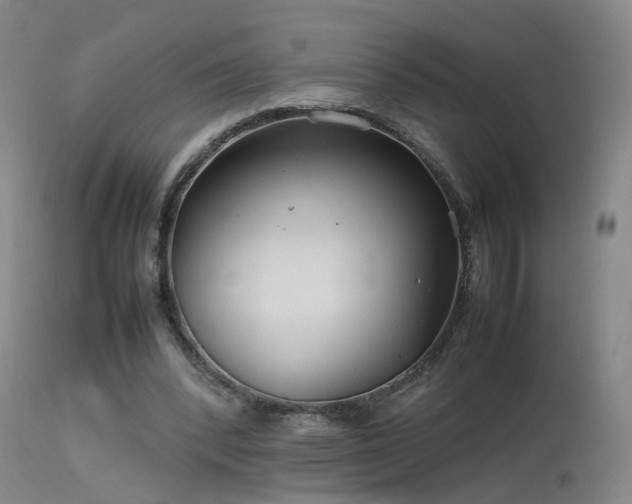 X0000113620392200909251211