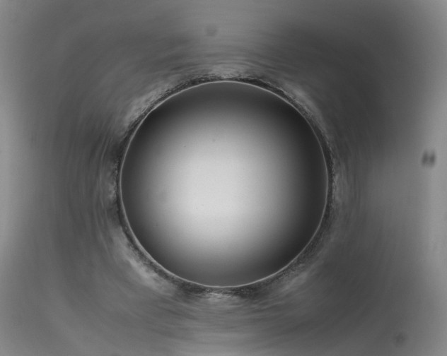 X0000113620393200909251211