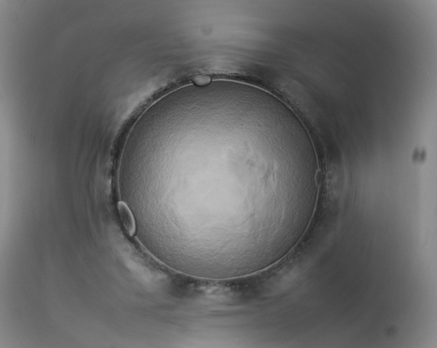 X0000113620395200909251211