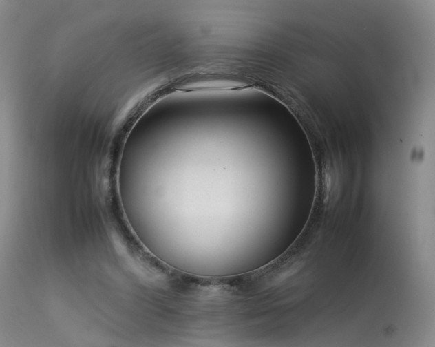 X0000113620396200909251211