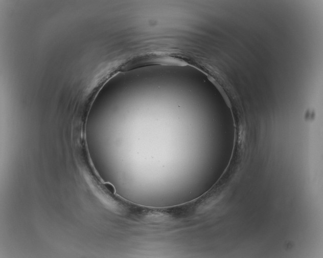 X0000113620397200909251211