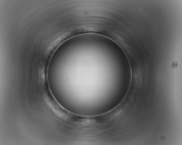 X0000113620398200909251211