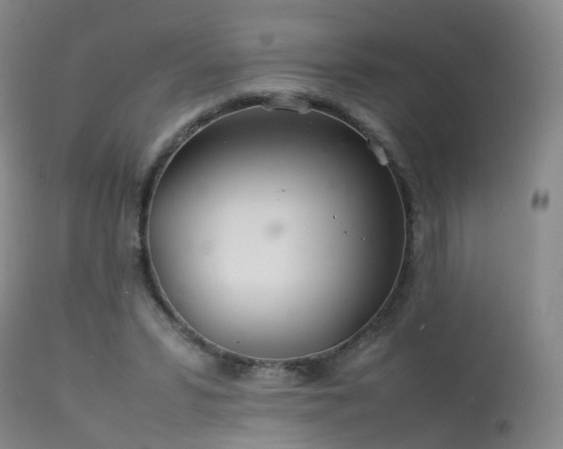 X0000113620399200909251211