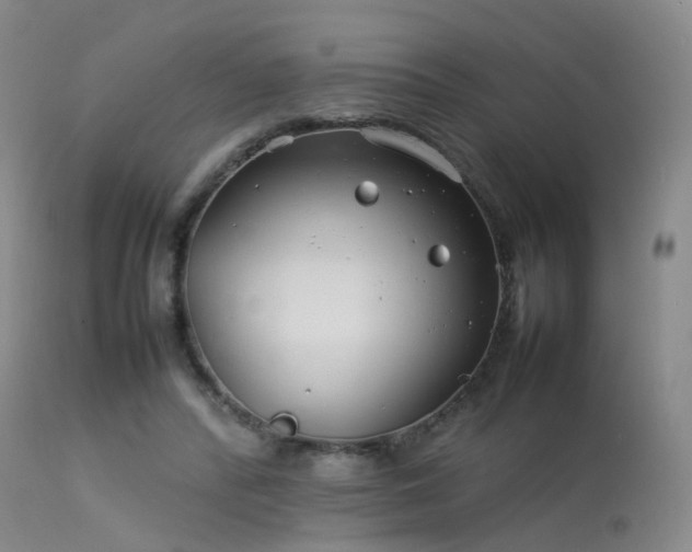 X0000113620400200909251211