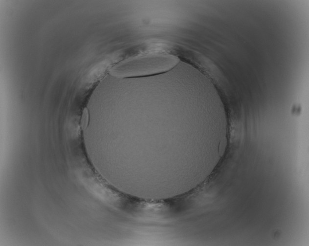 X0000113620401200909251211