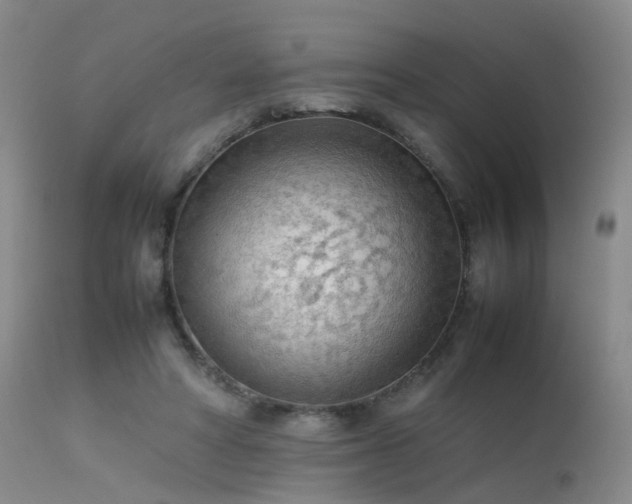 X0000113620402200909251211