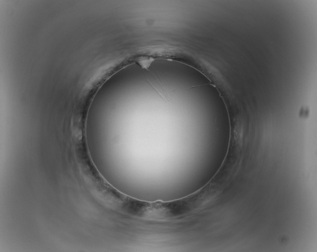 X0000113620403200909251211