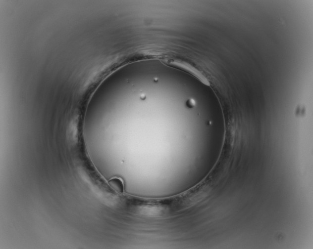 X0000113620404200909251211