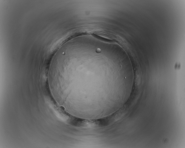 X0000113620405200909251211