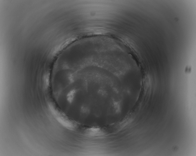 X0000113620406200909251211