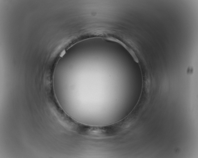 X0000113620407200909251211