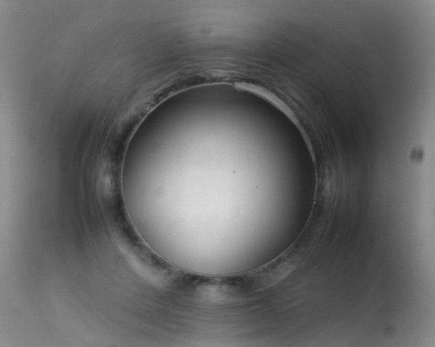 X0000113620408200909251211