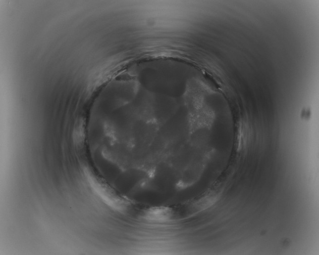 X0000113620410200909251211