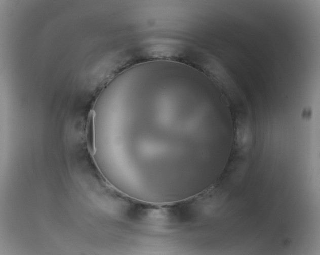 X0000113620411200909251211