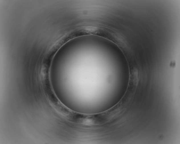 X0000113620412200909251211