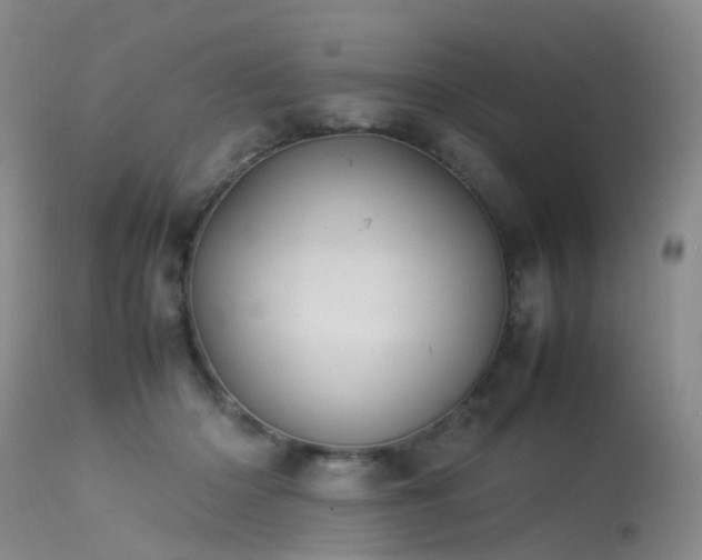 X0000113620414200909251211