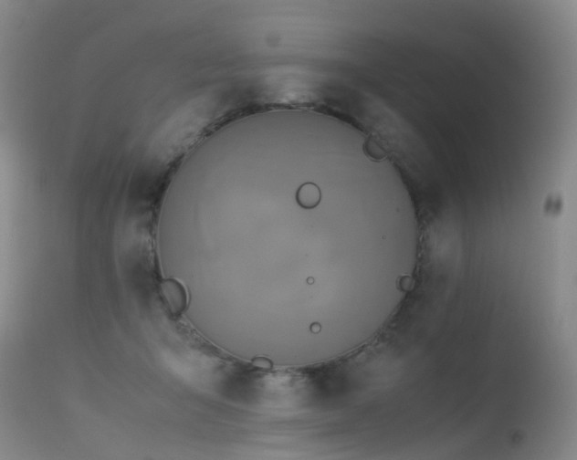 X0000113620415200909251211