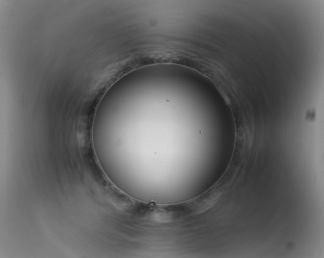 X0000113620416200909251211