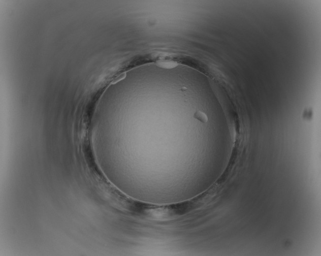 X0000113620417200909251211