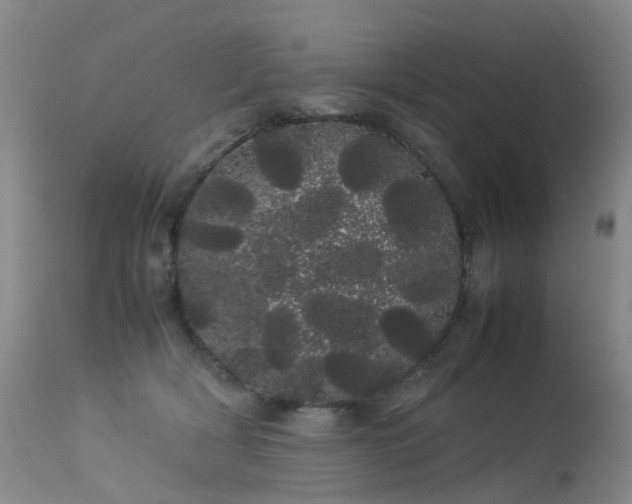 X0000113620418200909251211